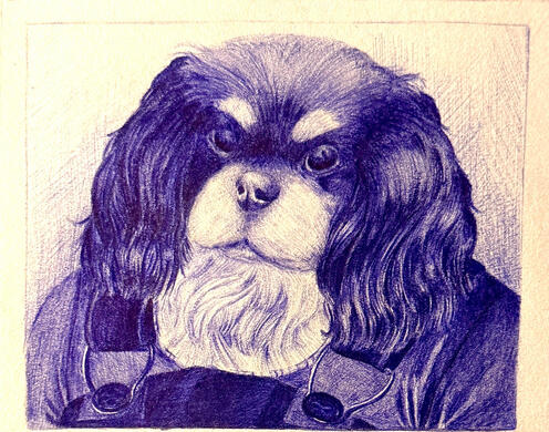Done in Ballpoint